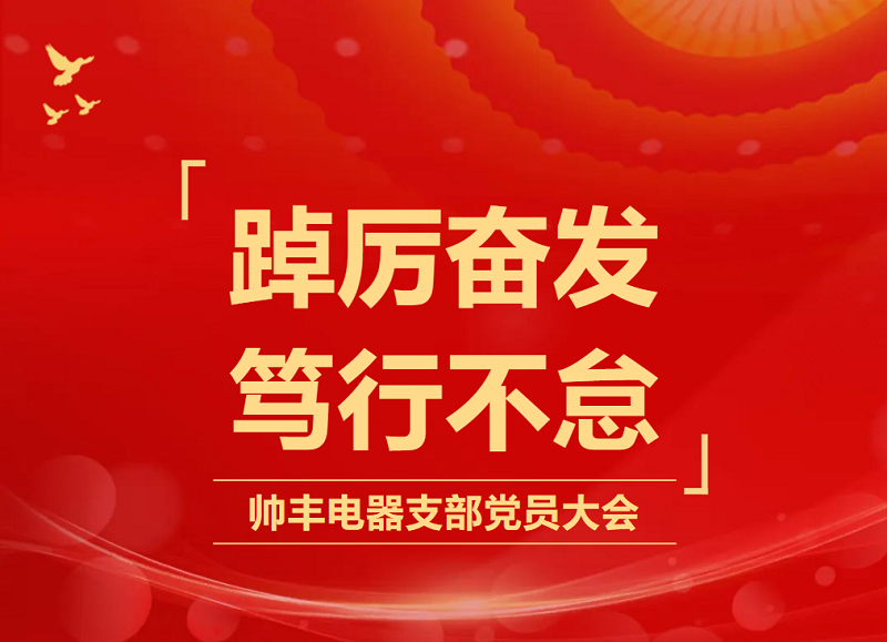 踔厲奮發(fā) 篤行不怠 | 帥豐電器開展支部黨員大會(huì)暨書記講黨課   